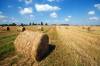 Haystacks in the field